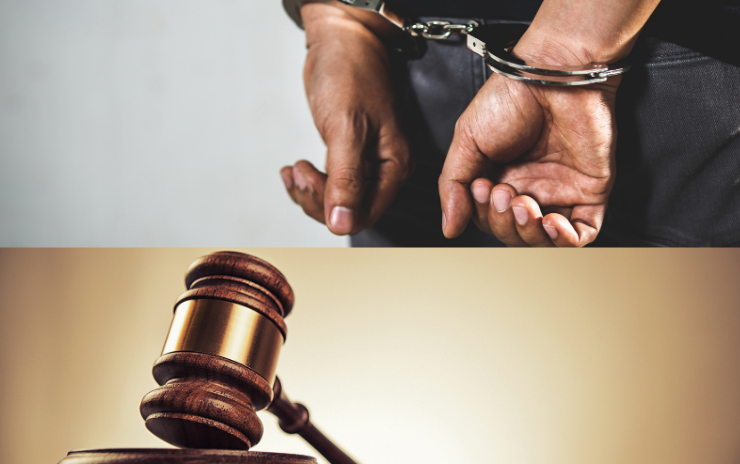 PAROLE DEFINITION MEANING visual data 8